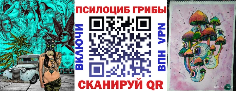 omg tor Чита Галлюциногенные грибы Psilocybe
